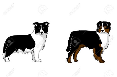 Collie Clipart Free 10 Free Cliparts Download Images On Clipground 2023