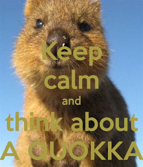Quokkas Are So Cute 3 On We Heart It