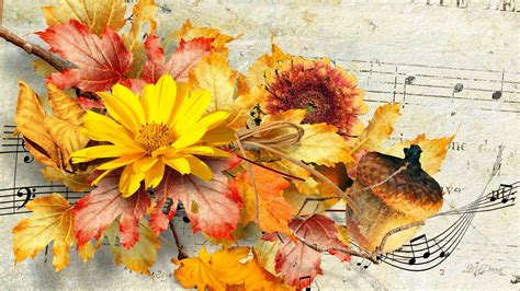 25 Latest Autumn Flowers Background Images Cool Background Collection