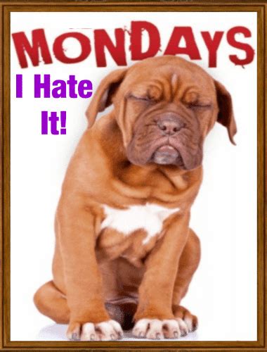 Examples of monday in a sentence. The Monday Blues Card. Free Monday Blues eCards, Greeting ...