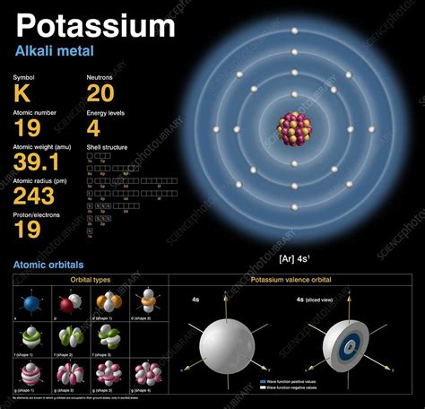 Potassium Periodic Table Protons Neutrons And Electrons Awesome Home