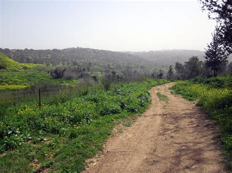 The Israel National Trail