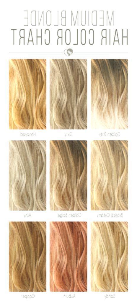 Hair Color Shade Chart Hair Color Chart Blonde Hair Color Chart Sexiz Pix