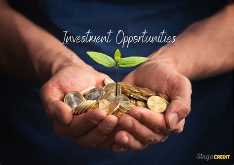 Understanding Investment Opportunities
