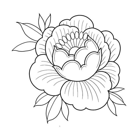 Fresh Peony Tattoo Semi Permanent Tattoos By Inkbox Flower Drawing