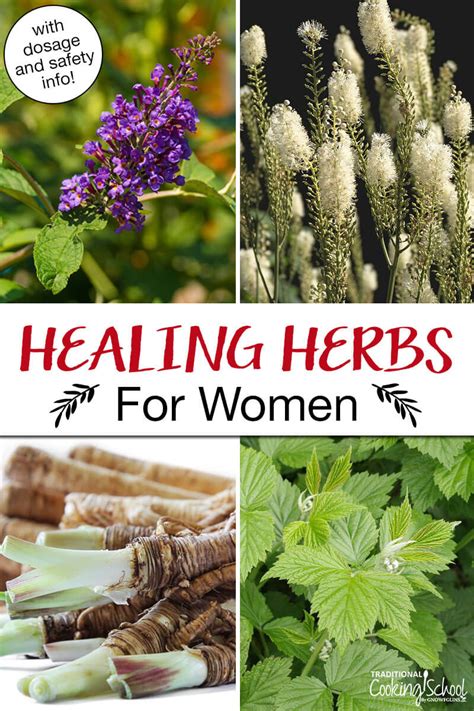 best herbs for women pms menopause fertility and more