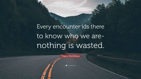 Tracy Mcmillan Quote Every Encounter Ids There To Know Who We Are