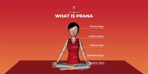 Prana Breath Life Force You Must Know Deepstash