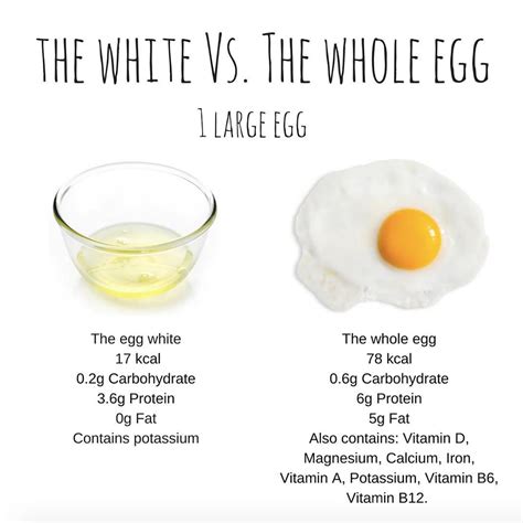 Nutritional Value Of Egg White Vs Yolk Nutrition Ftempo