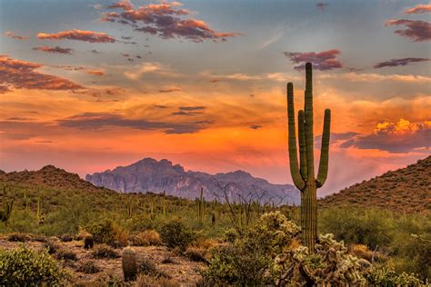 11 Interesting And Beautiful Places To Visit In Phoenix Az