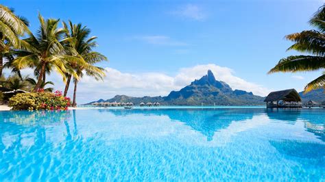 Landscape Of Polynesia Resort Sea Bora Bora Island With Palm Trees Hd