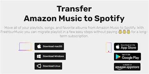 Comment Transférer Playlist Deezer Vers Spotify Tunelf