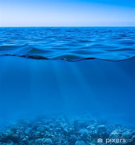 Wall Mural Still Calm Sea Water Surface With Clear Sky And Underwater