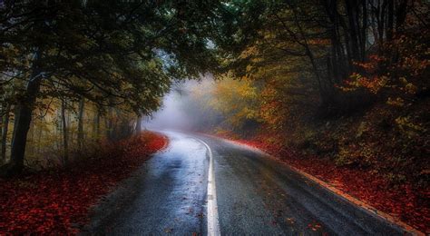 Download wallpapers that are good for the selected resolution: Autumn Road | Wide Screen Wallpaper 1080p,2K,4K