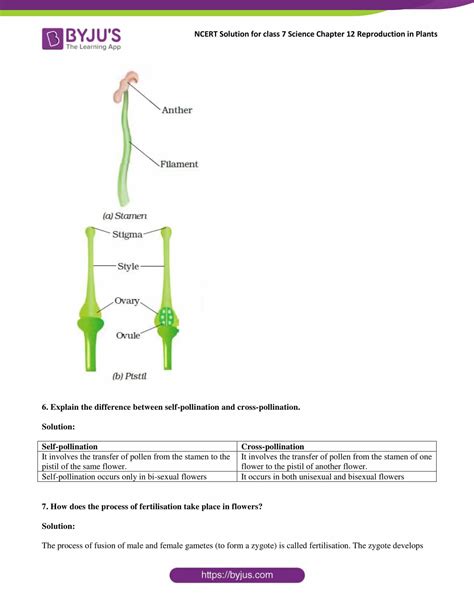 Ncert Solutions Class 7 Science Chapter 12 Reproduction In Plants