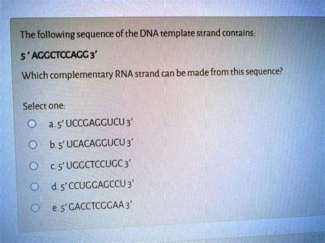 Solved The Following Sequence Of The Dna Template Strand Contains 5