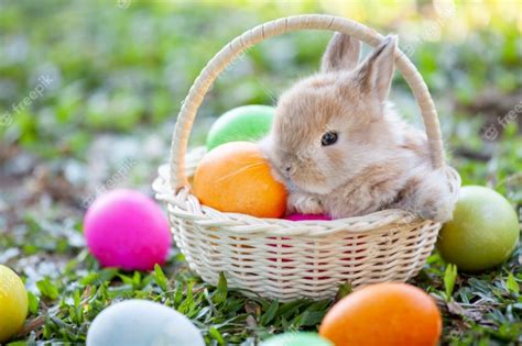 Premium Photo Cute Little Bunny In The Basket And Easter Eggs In The
