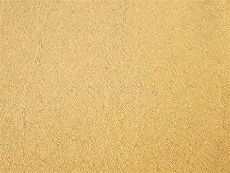 Seamless Sand Background Beautiful Sand Background Sand Texture