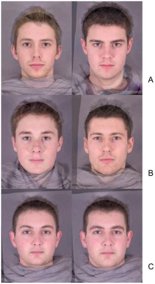 Does Masculinity Matter The Contribution Of Masculine Face Shape To