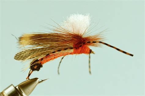 Top 7 Salmon Fly Patterns The Missoulian Angler Fly Shop