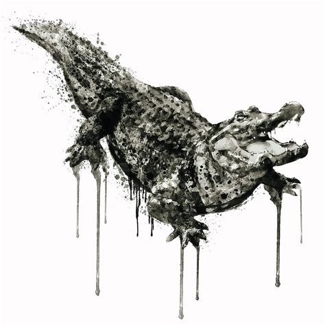 Alligator Black And White Painting By Marian Voicu Fine Art America