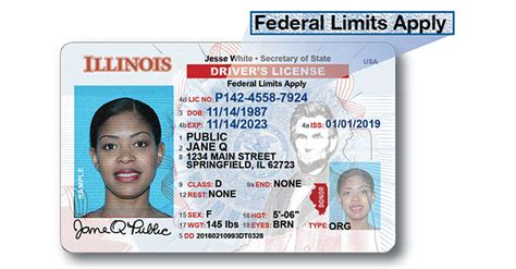 How To Get Drivers License In Illinois
