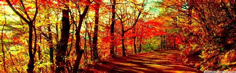 Fall Dual Screen Wallpapers Top Free Fall Dual Screen Backgrounds