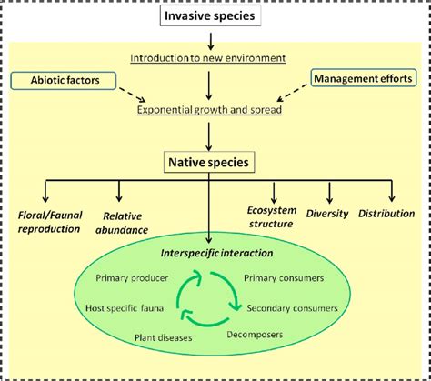 Illustrative Depiction Of Impact Of Invasive Species On An Ecosystem Download Scientific