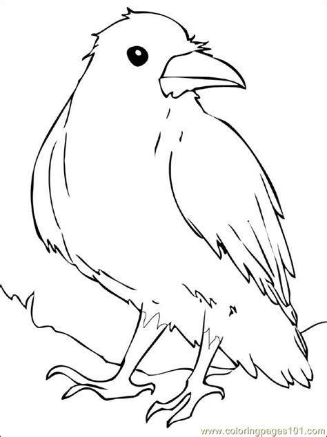 Click here to learn more. Raven Coloring Page - Free Crow Coloring Pages ...