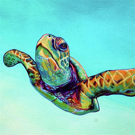 Green Sea Turtle Painting By Corina St Martin Fine Art America