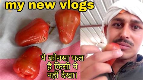 ये फल किसी ने नहीं देखा।😱😱। Youtube