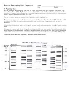 It will give them information that will allow them to prepare a good case. DNA "Fingerprinting" Practice