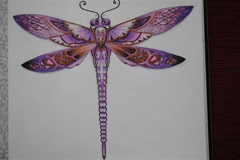Na Kridlech Vazky On The Wings Of Dragonflies ♥ My Creationjohanna