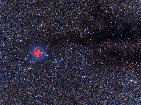 Cocoon Nebula Photograph By Tony And Daphne Hallas