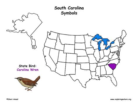 South Carolina Habitats Mammals Birds Amphibians Reptiles