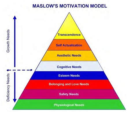Transcendence In Maslows Hierarchy Of Needs The Hierarchy Of Needs Images Images And Photos Finder