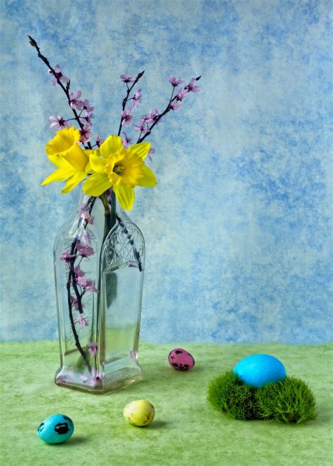 Easter Still Life B Easter Spring Still Life With Daffodil Flickr