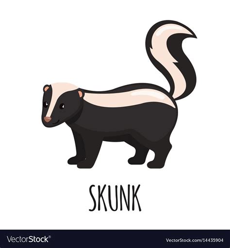 Cute Skunk In Flat Style Vector Image On Vectorstock Skunk Drawing