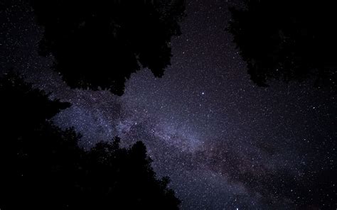 Download Wallpaper 1680x1050 Milky Way Stars Starry Sky Trees Night