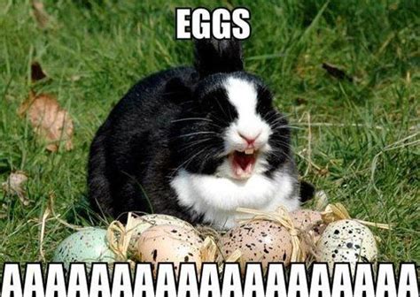 Pretty Sure Thats How The Easter Bunny Feels Funny Easter Memes