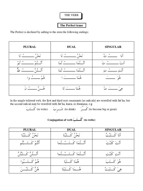 basic arabic grammar for beginners grammatical number grammatical gender