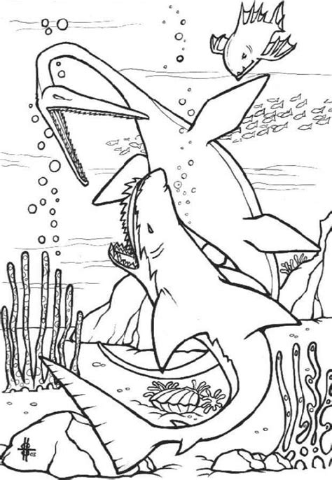 Plesiosaurus Dinosaurus Vecht Om Haai Onder De Zee Kleurplaten Haaien