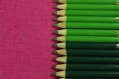 Crayola Single Color Pencils Set Of 24 Greens