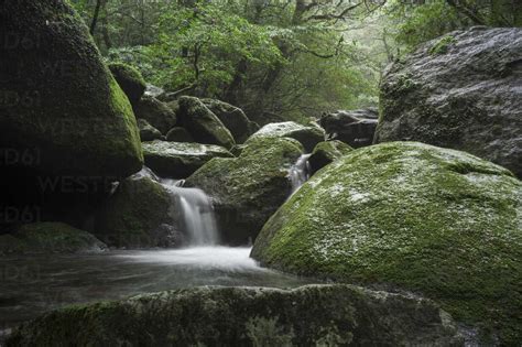 Japan Yakushima Waterfall In The Rainforest Stock Photo