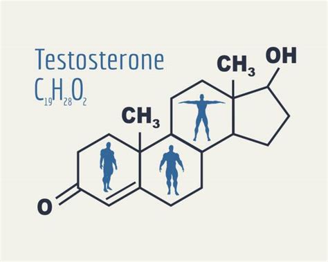 Testosterone Structure Illustrations Royalty Free Vector Graphics