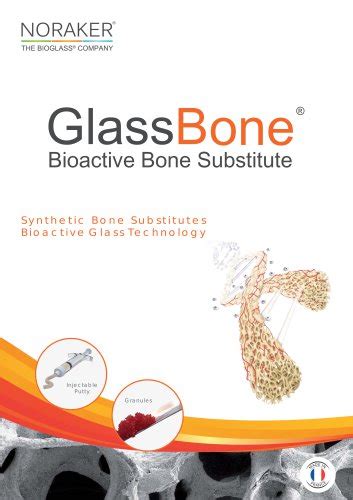 Glassbone™ Bioglass Bone Substitute Noraker Pdf Catalogs Technical Documentation