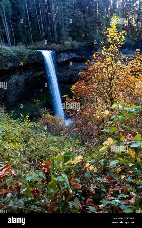 Latourell Falls In The Columbia River Gorge Oregon Stock Photo Alamy