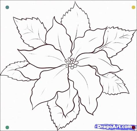 How To Draw A Poinsettia Step 5 More Christmas Drawing Flower