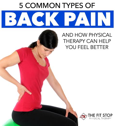 5 Common Types Of Back Pain Fit Stop Physical Therapy