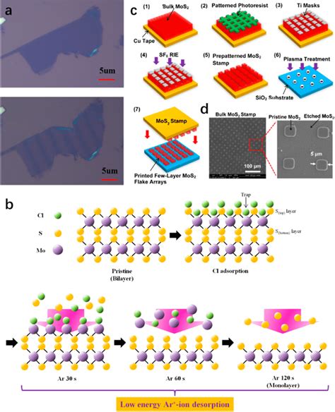 A Optical Images Of A Pristine Bilayer Mos 2 And A Periodical Mos 2